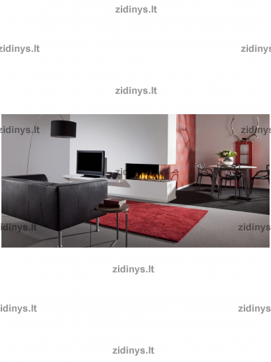 Dujinis židinys FABER Aspect Premium CL 1