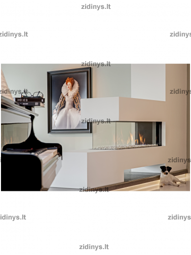 Dujinis židinys FABER Aspect Premium RD L 1 Dujinis židinys FABER Aspect Premium RD L 1