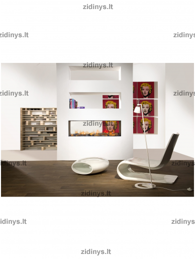 Dujinis židinys FABER Aspect Premium ST XL 1