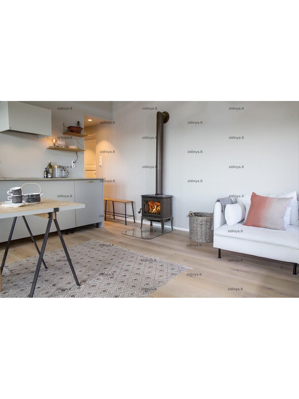 Krosnelė Jotul F 100 ECO.2 1